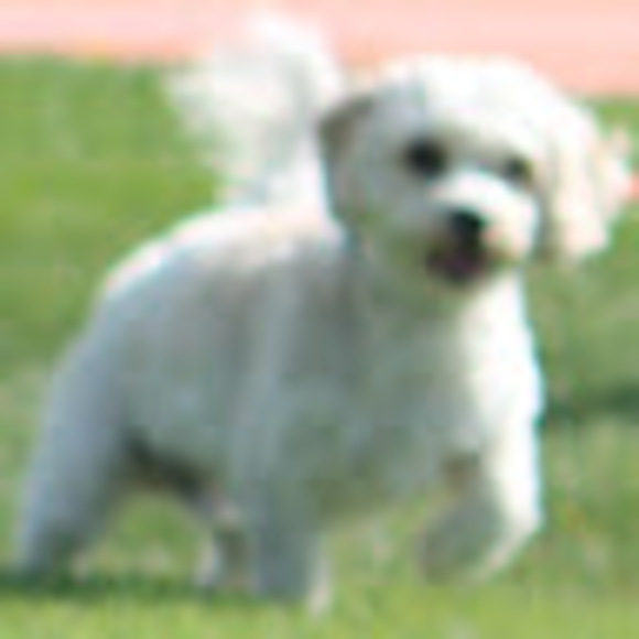 ruthfoskett18